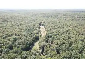 TBD Baxter Road, Licking, Missouri 65542, ,Hunting,Sold,Baxter Road,6000 TBD Baxter Road, Licking, Missouri 65542, ,Hunting,Sold,Baxter Road,6000