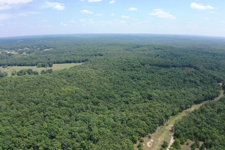 Benton County Missouri 60 Hunting Tract