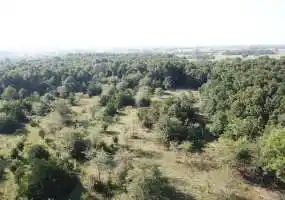 TBD Watson Road, California, Missouri 65018, ,Hobby Farm,Sold,Watson Road,6011 TBD Watson Road, California, Missouri 65018, ,Hobby Farm,Sold,Watson Road,6011