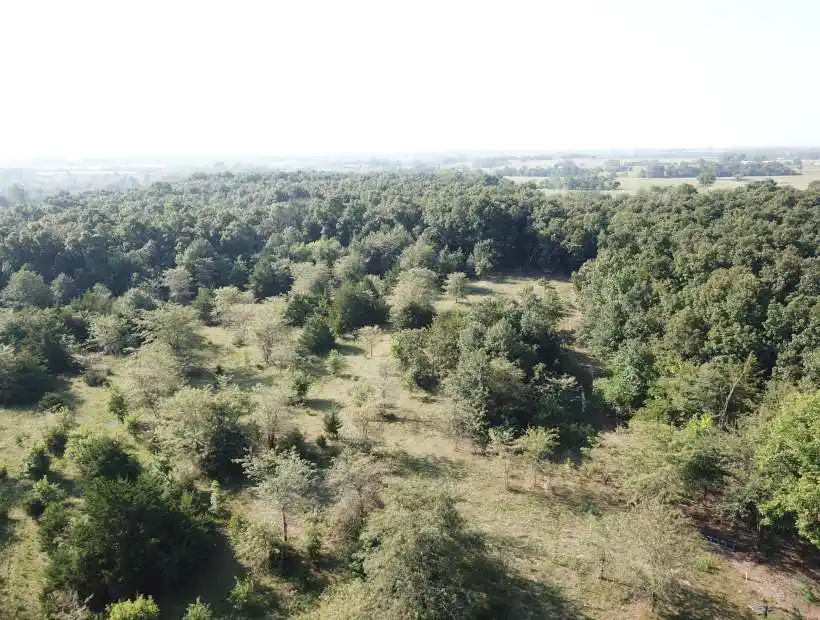 TBD Watson Road, California, Missouri 65018, ,Hobby Farm,Sold,Watson Road,6011