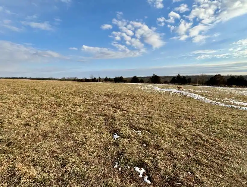 TBD Summit Road, Grovespring, Missouri 65662, ,Land,Inactive,Summit Road,6017