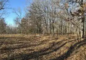 Lots 3344 & 3345 Twain Place, Edwards, Missouri 65326, ,Land,Sold,Twain Place,6047