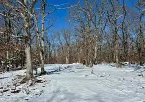 11133 SE 326 Private Rd., Osceola, Missouri 64776, ,Land,Sold,SE 326 Private Rd.,6063