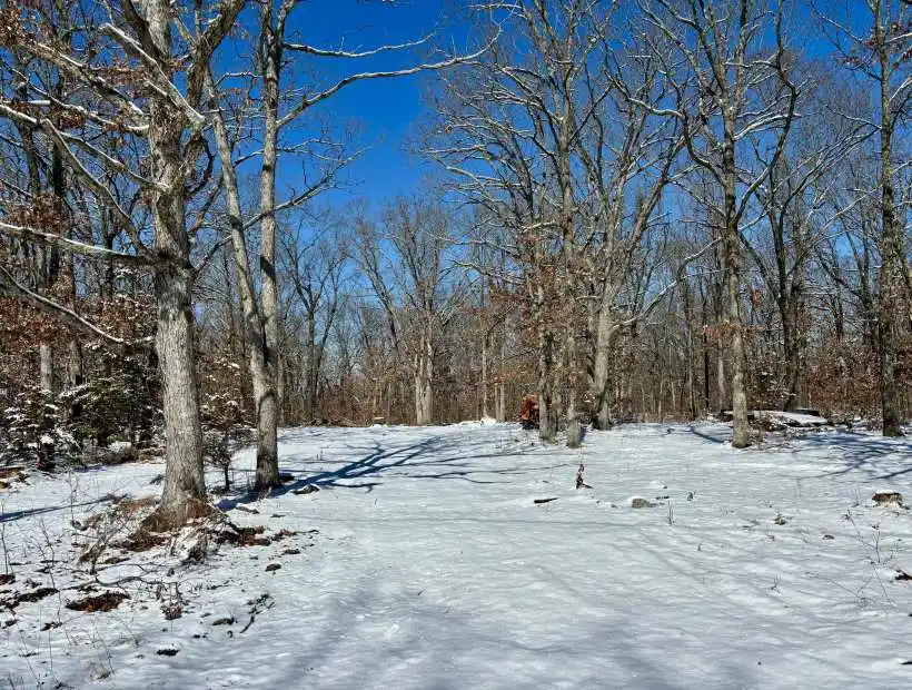 11133 SE 326 Private Rd., Osceola, Missouri 64776, ,Land,Sold,SE 326 Private Rd.,6063