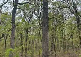 TBD SE 374 Private Rd., Osceola, Missouri 64776, ,Land,Inactive,SE 374 Private Rd.,6064