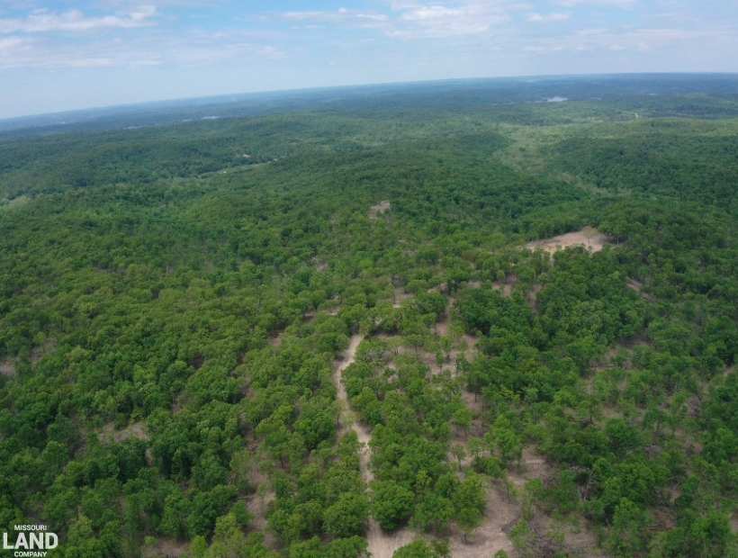 TBD Hwy 7, Roach, Missouri 65787, 0 , 0 ,0,Land,Contingent,Hwy 7,0,6069