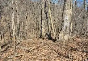 TBD Fresno Road, Barnett, Missouri, ,Recreational,Sold,Fresno Road,6077