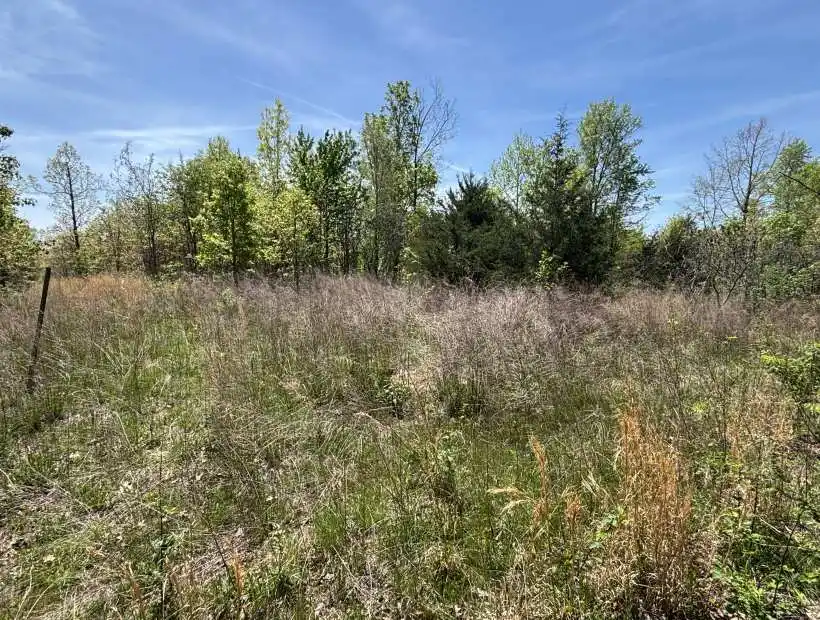 TBD Wayne 220, Silva, Missouri 63964, ,Recreational,Sold,Wayne 220,6094