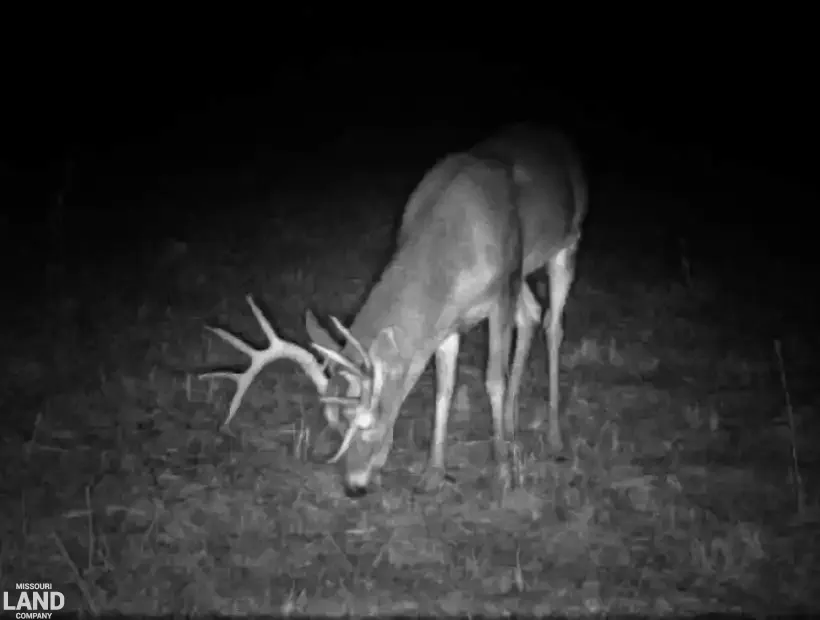 23607 Village Drive, Richland, Missouri 65556, 3 Bedrooms Bedrooms, 0 ,2 BathroomsBathrooms,House with Acreage,Active,Village Drive,0,6105