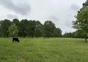 10152 County Road 5440, Rolla, Missouri 65401, ,Land,Sold,County Road 5440,6108