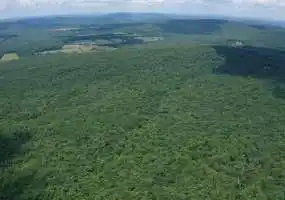 575 Highway 221, Ironton, Missouri 63650, 0 , 0 ,0,Hunting,Active,Highway 221,0,6118 575 Highway 221, Ironton, Missouri 63650, 0 , 0 ,0,Hunting,Active,Highway 221,0,6118