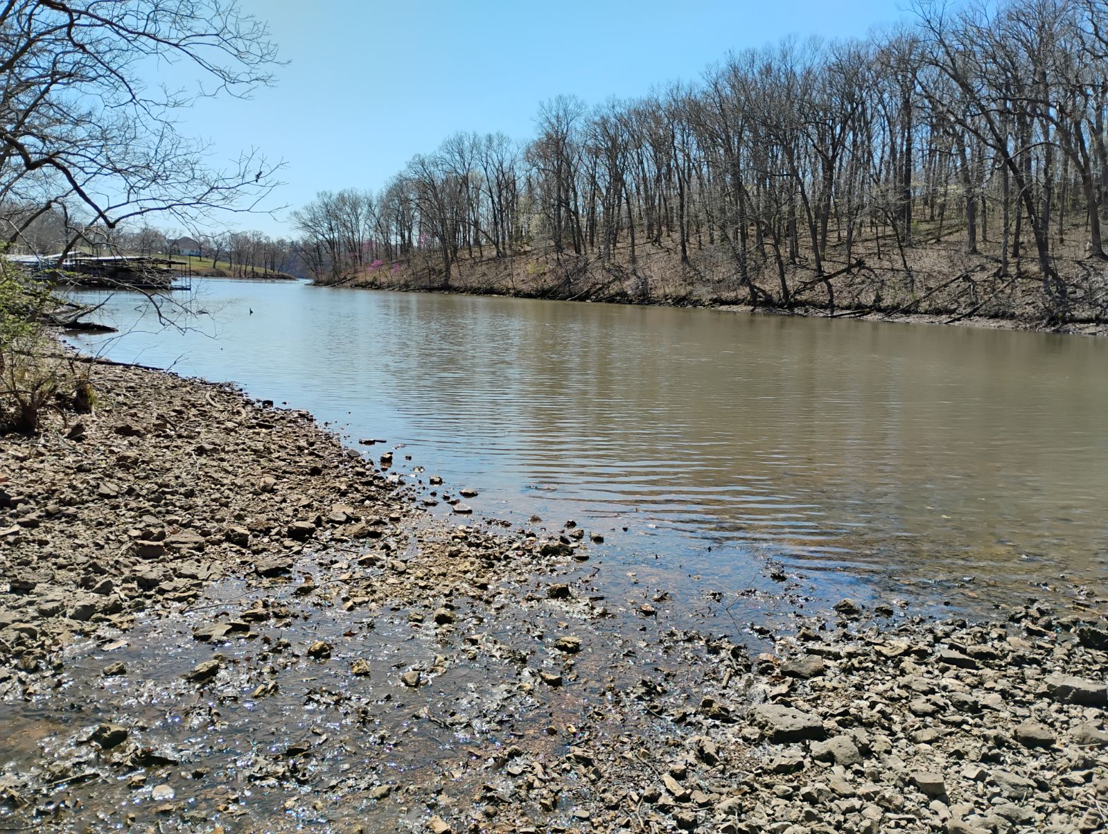TBA Rocky Ledge Rd, Lincoln, MO 65338 (For Sale MyStateMLS Listing #11545142)