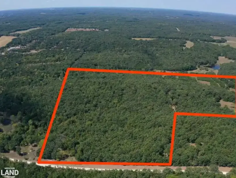 15996 County Rd 339, Cross Timbers, Missouri 65668, 0 , 0 ,0,Hunting,Pending,County Rd 339,0,6145