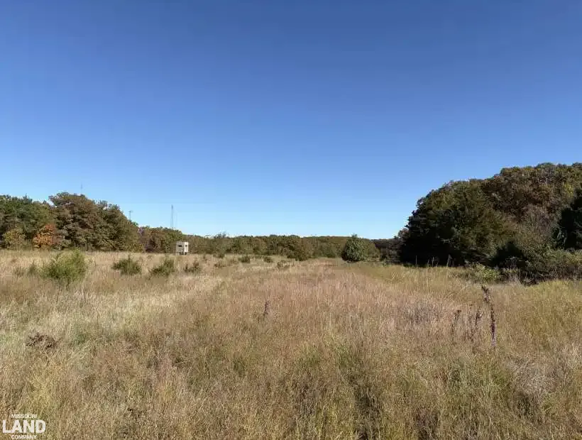 TBD Arlington Road, Newburg, Missouri 65550, 0 , 0 ,0,Land,Active,Arlington Road,0,6164