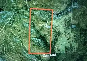 13568 County Rd 243, Wheatland, Missouri 65779, 3 Bedrooms Bedrooms, 0 ,2 BathroomsBathrooms,House with Acreage,Active,County Rd 243 ,0,6180 13568 County Rd 243, Wheatland, Missouri 65779, 3 Bedrooms Bedrooms, 0 ,2 BathroomsBathrooms,House with Acreage,Active,County Rd 243 ,0,6180