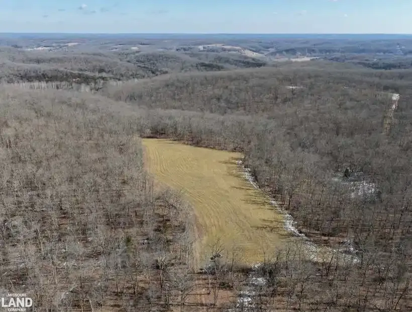Tbd County Rd 9030, Dixon, Missouri 65459, 0 , 0 ,0,Farm,Active,County Rd 9030,0,6188
