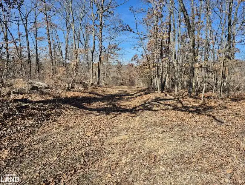 TBD Kroenke Trail, Lincoln, Missouri 65338, 0 , 0 ,0,Land,Active,Kroenke Trail,0,6190