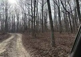 0002 State HWY 72, Bunker, Missouri 63629, 0 , 0 ,0,Recreational,Active,State HWY 72,0,6196