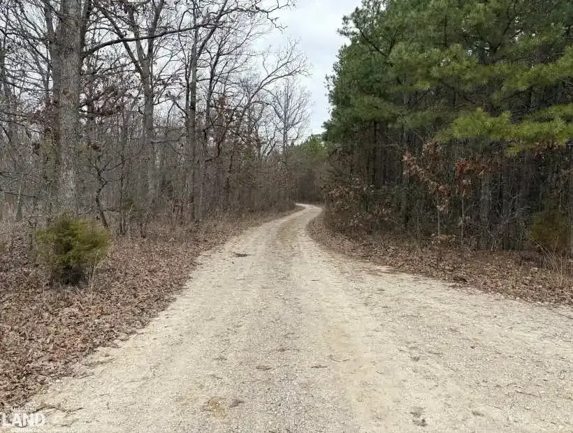 0003 State Highway 72, Bunker, Missouri 63629, 0 , 0 ,0,Recreational,Active,State Highway 72,0,6197