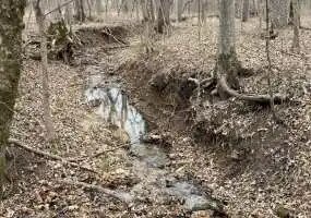 TBD Montana Rd, Gravois Mills, Missouri 65037, 0 , 0 ,0,Hunting,Active,Montana Rd ,0,6199