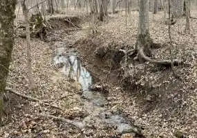 TBD Montana Rd, Gravois Mills, Missouri 65037, 0 , 0 ,0,Hunting,Active,Montana Rd ,0,6199