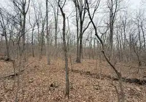 TBD Highway 135, Stover, Missouri 65087, 0 , 0 ,0,Land,Pending,Highway 135 ,0,6201