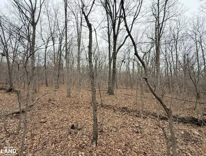 TBD Highway 135, Stover, Missouri 65087, 0 , 0 ,0,Land,Pending,Highway 135 ,0,6201