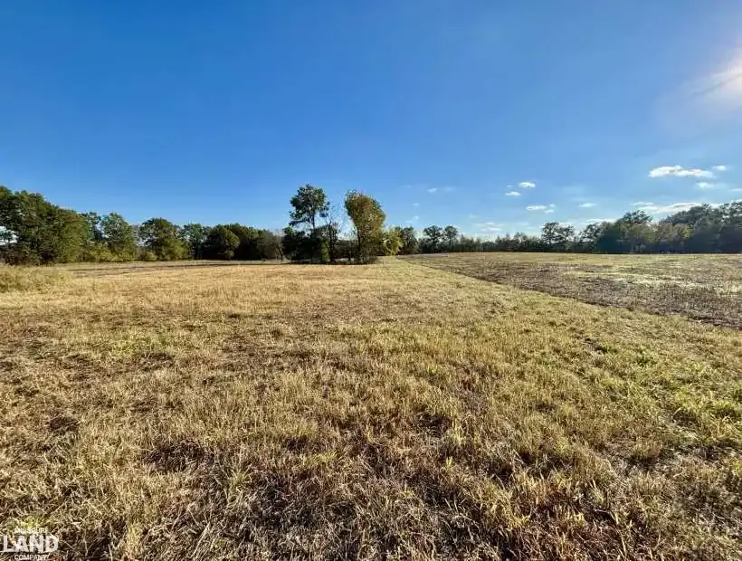 27938 E. Logan Rd, Walker, Missouri 64790, 0 , 0 ,0,Land,Active,E. Logan Rd,0,6202