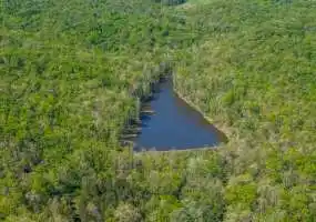TBD Bacon Rd, Dixon, Missouri 65459, 0 , 0 ,0,Recreational,Active,Bacon Rd ,0,6210