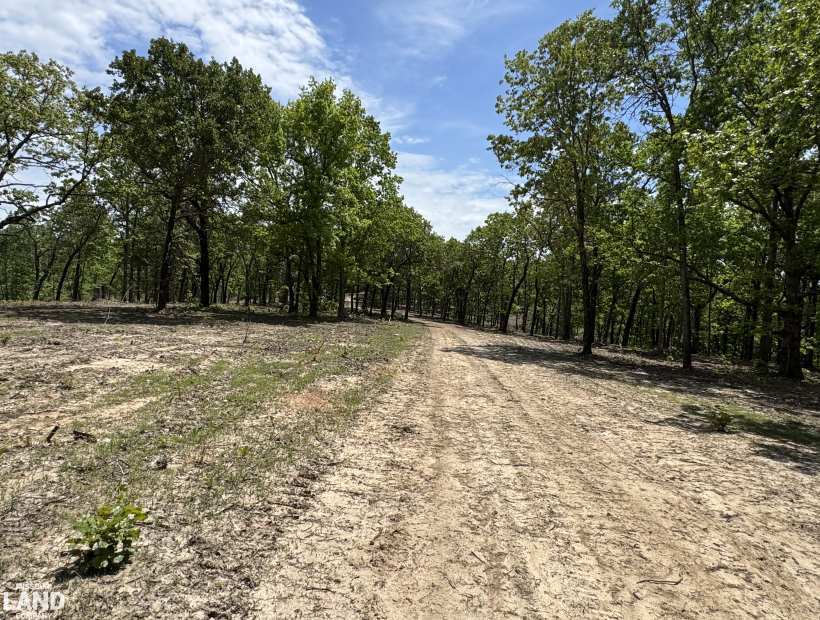TBD Hwy 7, Roach, Missouri 65787, 0 , 0 ,0,Hunting,Contingent,Hwy 7 ,0,6211