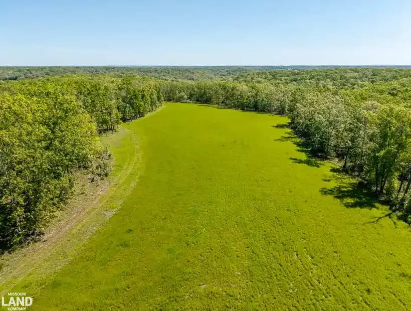 TBD Bacon Road, Dixon, Missouri 65459, 0 , 0 ,0,Hunting,Active,Bacon Road ,0,6212