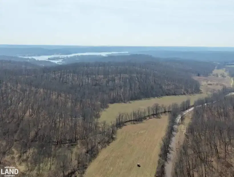 TBD Cup Tree Rd, Gravois Mills, Missouri 65037, 0 , 0 ,0,Land,Contingent,Cup Tree Rd,0,6217