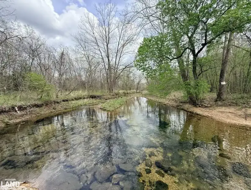 TBD Cable Ridge Rd, Edwards, Missouri 65326, 0 , 0 ,0,Recreational,Active,Cable Ridge Rd ,0,6229