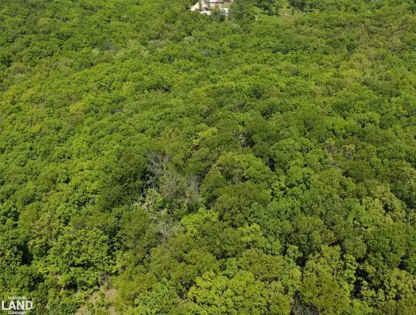 TBD Saturday Rd, Stover, Missouri 65078, 0 , 0 ,0,Land,Inactive,Saturday Rd,0,6246