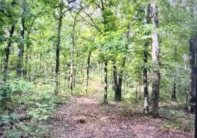 TBD Highway B, Lincoln, Missouri 65338, 0 , 0 ,0,Land,Active,Highway B,0,6261