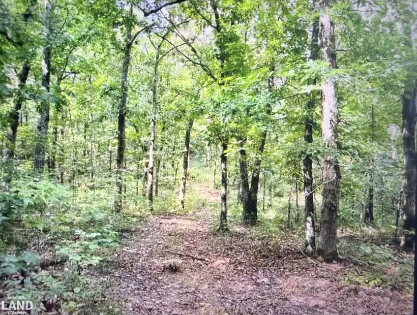 TBD Highway B, Lincoln, Missouri 65338, 0 , 0 ,0,Land,Active,Highway B,0,6261