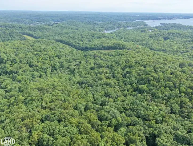 TBD Ellis Cir, Sunrise Beach, Missouri 65079, 0 , 0 ,0,Land,Active,Ellis Cir,0,6265