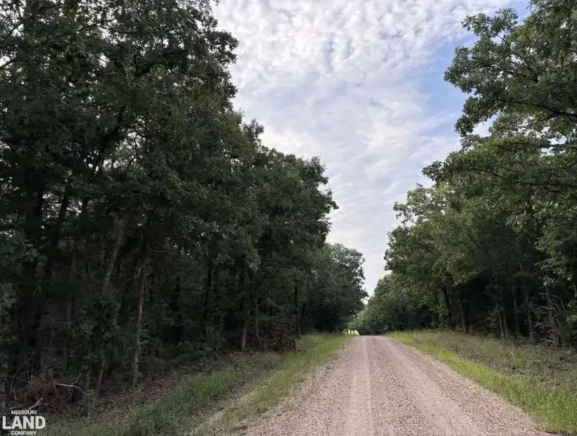 000 Maries Road 611, Brinktown, Missouri 65443, 0 , 0 ,0,Land,Pending,Maries Road 611,0,6275