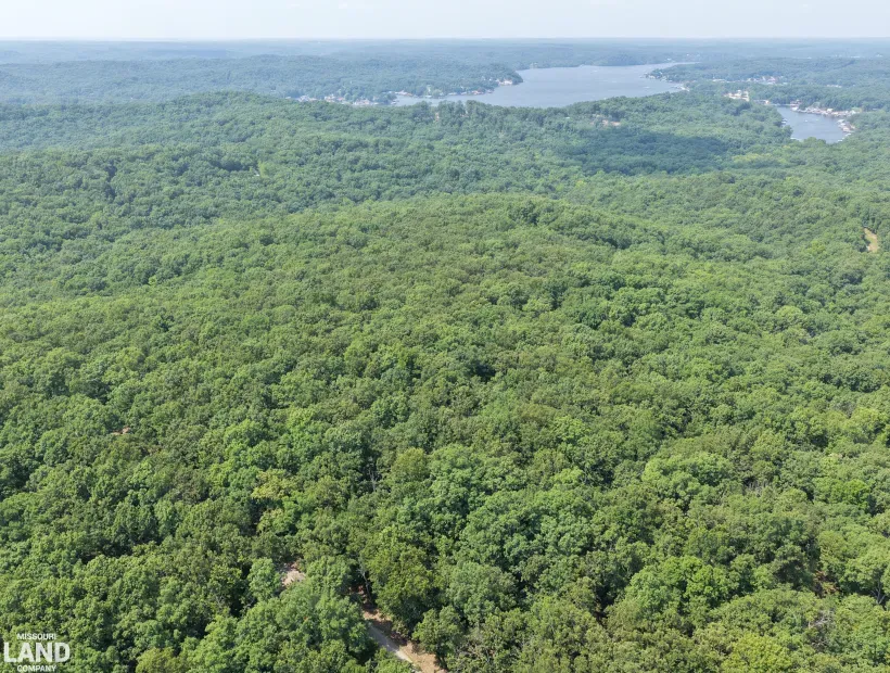 TBD Bluff Rd, Gravois Mills, Missouri 65037, 0 , 0 ,0,Land,Active,Bluff Rd,0,6276