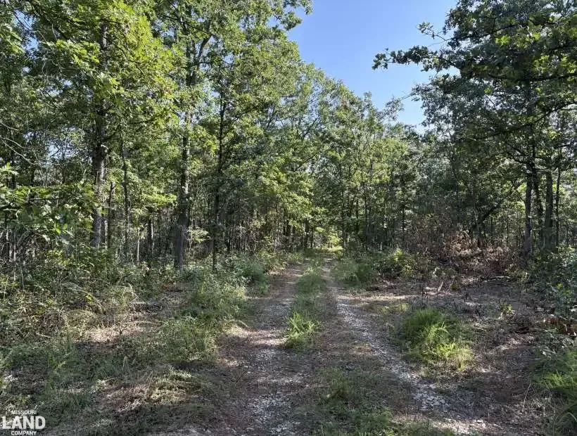0000 State Highway 72, Bunker, Missouri 63629, 0 , 0 ,0,Joining Public,Active,State Highway 72,0,6331