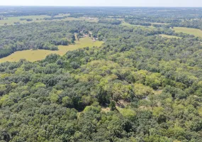 2218 Fox Trot Rd, Florence, Missouri 65329, 2 Bedrooms Bedrooms, 0 ,1 BathroomBathrooms,House with Acreage,Inactive,Fox Trot Rd,0,6352 2218 Fox Trot Rd, Florence, Missouri 65329, 2 Bedrooms Bedrooms, 0 ,1 BathroomBathrooms,House with Acreage,Inactive,Fox Trot Rd,0,6352