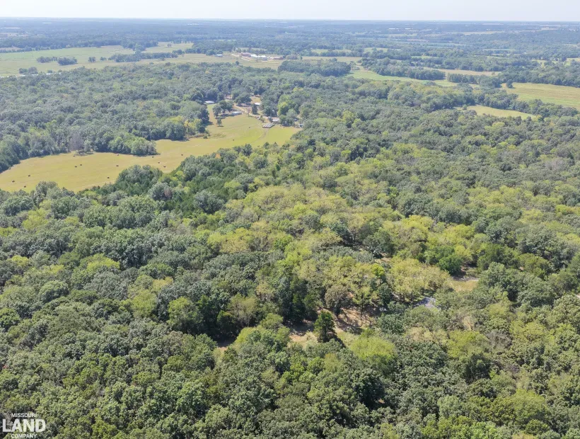 2218 Fox Trot Rd, Florence, Missouri 65329, 2 Bedrooms Bedrooms, 0 ,1 BathroomBathrooms,House with Acreage,Active,Fox Trot Rd,0,6352
