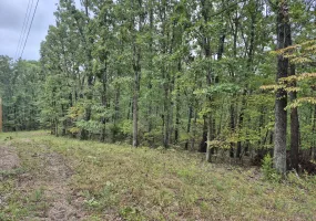 TBD Critter, Gravois Mills, Missouri 65037, 0 , 0 ,0,Land,Active,Critter,0,6354