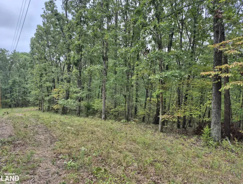 TBD Critter, Gravois Mills, Missouri 65037, 0 , 0 ,0,Land,Active,Critter,0,6354
